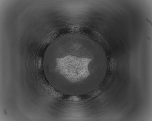 X0000101120610200807031805