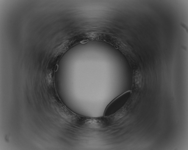 X0000101120611200807031805