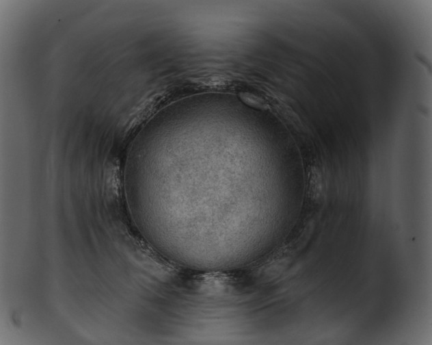 X0000101120612200807031805