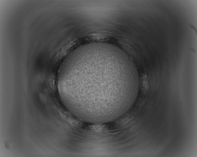 X0000101120615200807031805