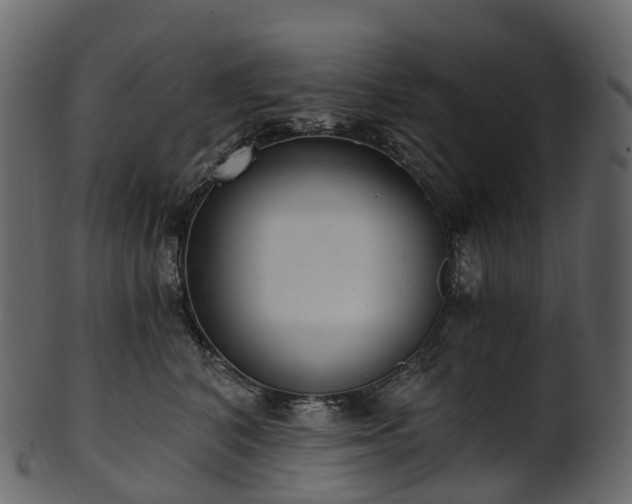 X0000101120616200807031805