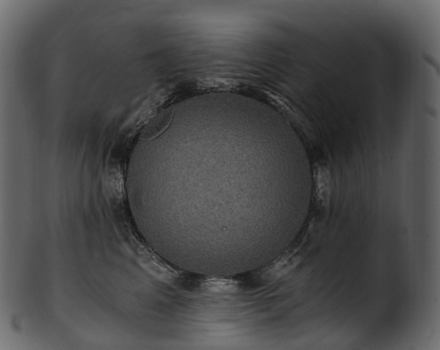 X0000101120617200807031805