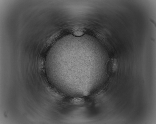 X0000101120619200807031805