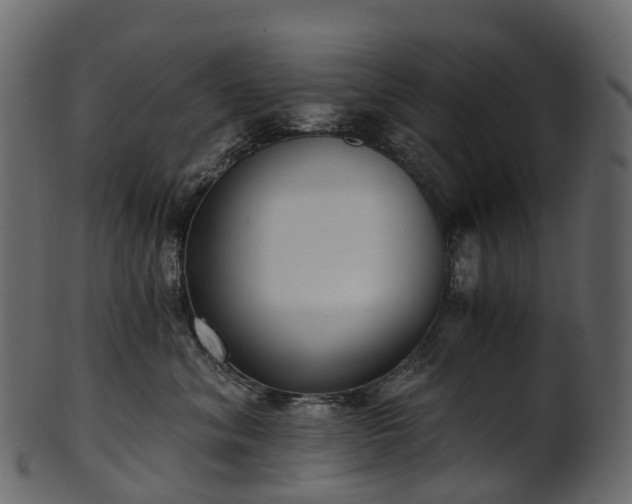 X0000101120620200807031805