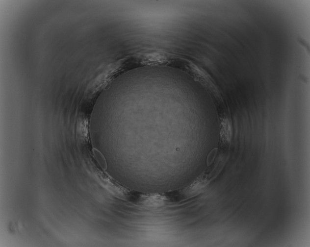 X0000101120621200807031805