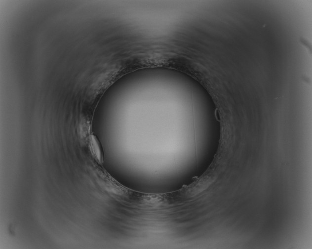 X0000101120624200807031805
