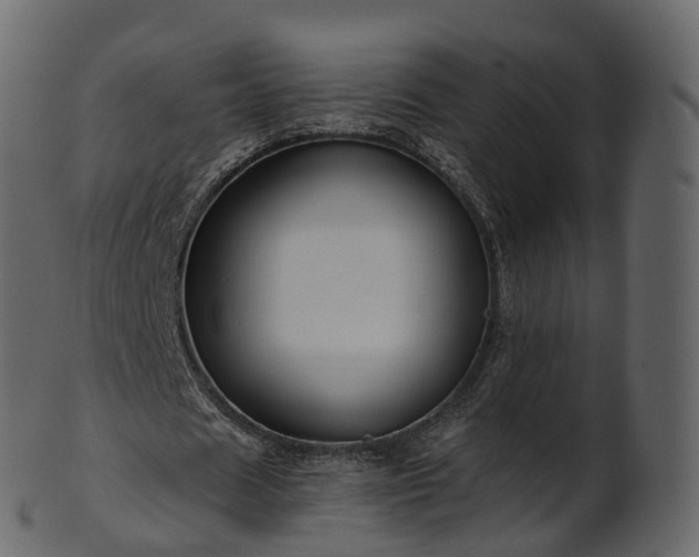 X0000101120625200807031804