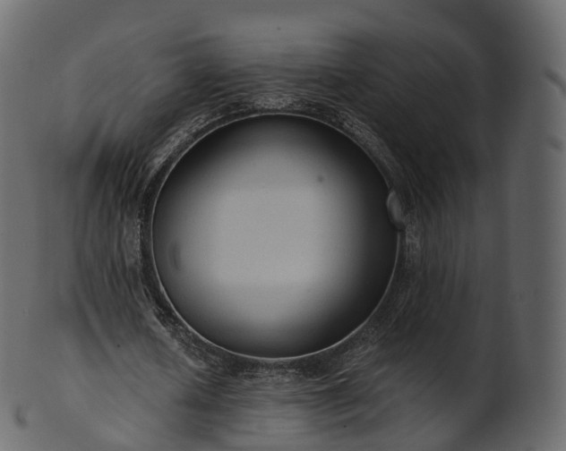 X0000101120626200807031804