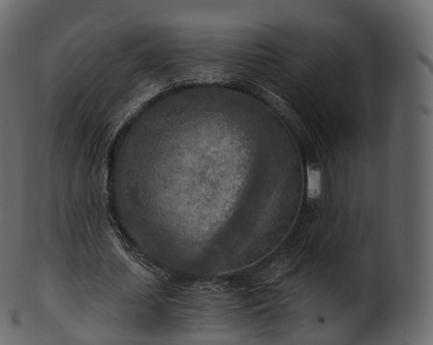 X0000101120627200807031804