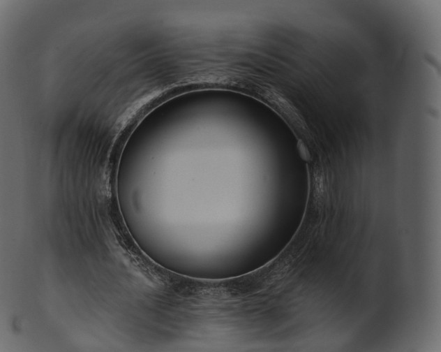 X0000101120628200807031804