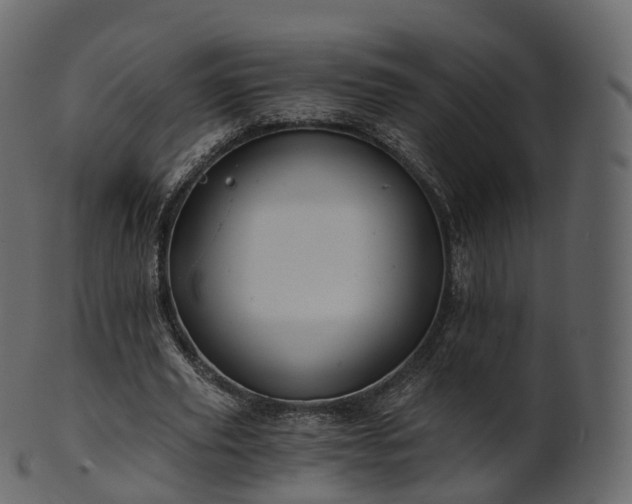 X0000101120629200807031804