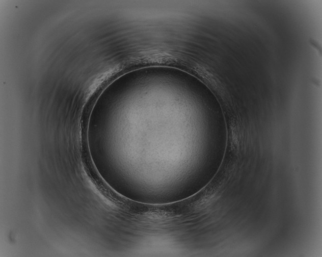 X0000101120630200807031804