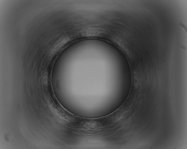 X0000101120631200807031804