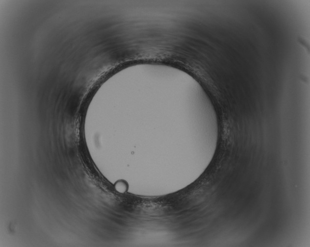 X0000101120632200807031804