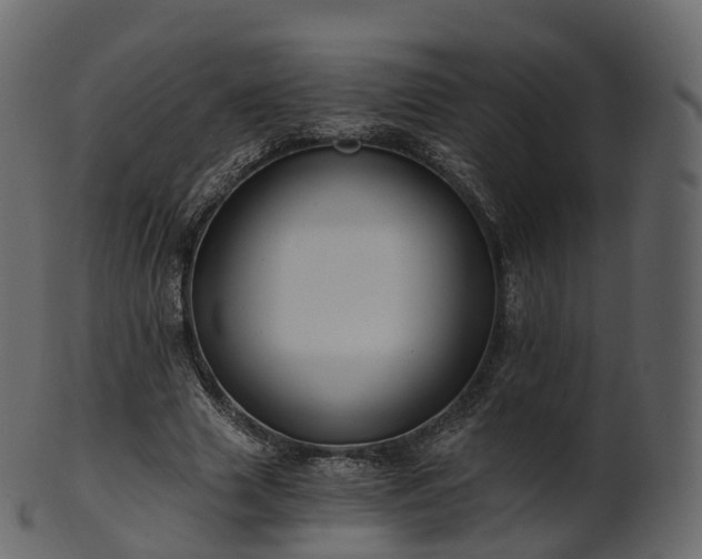 X0000101120633200807031804
