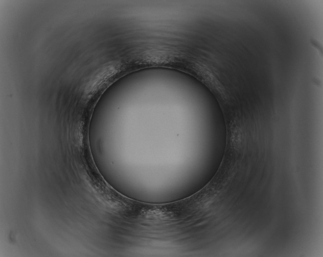 X0000101120635200807031804