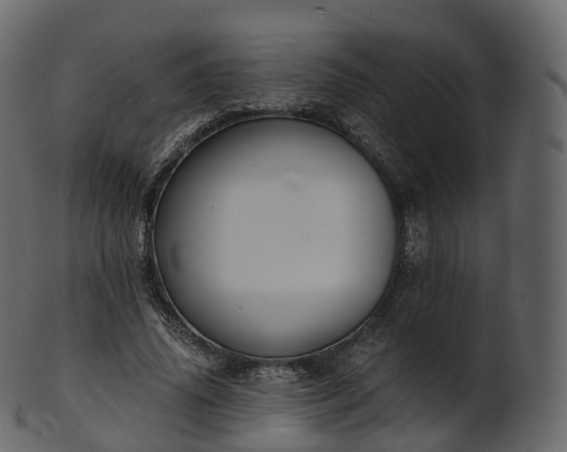 X0000101120636200807031804