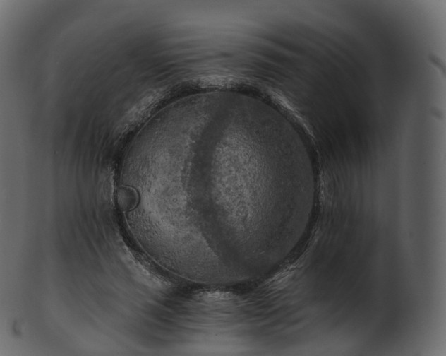 X0000101120637200807031804