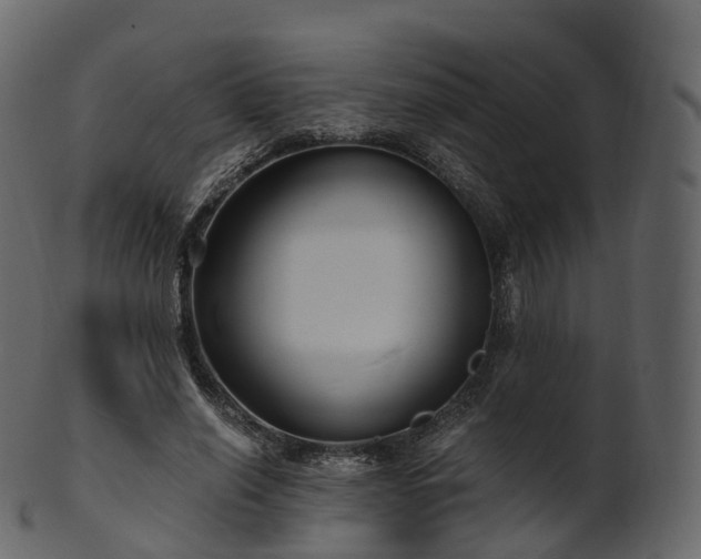 X0000101120638200807031804