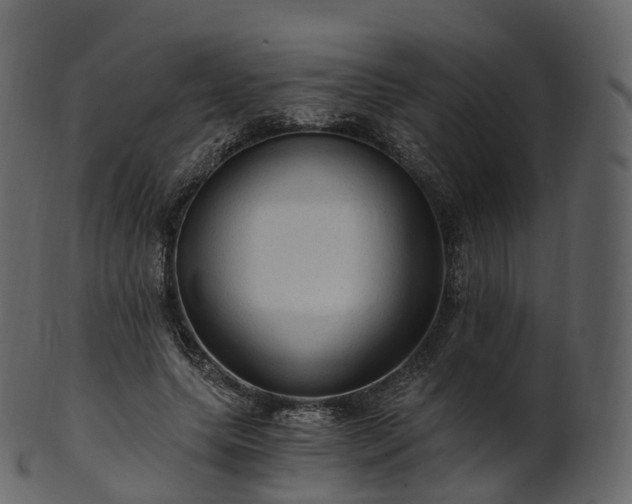 X0000101120639200807031804