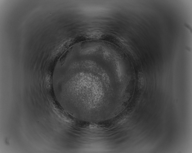 X0000101120641200807031804