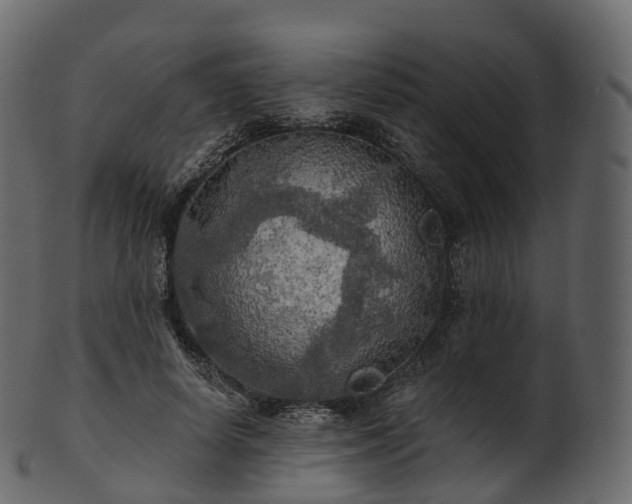 X0000101120642200807031804