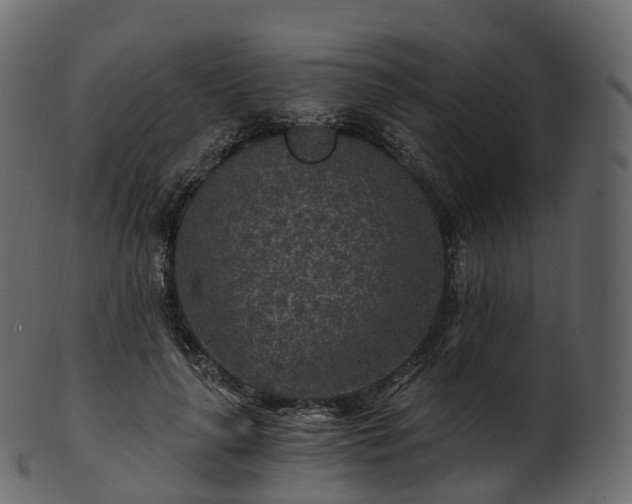 X0000101120643200807031804