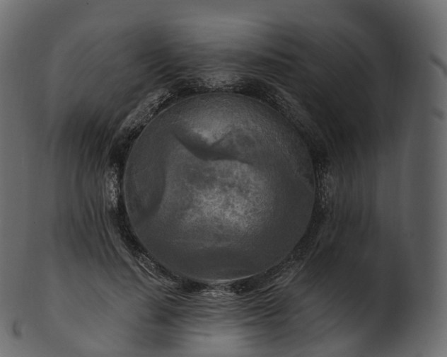 X0000101120644200807031804