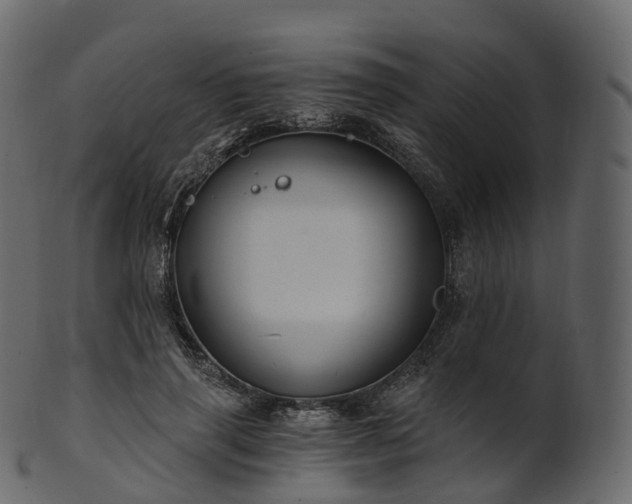 X0000101120645200807031804