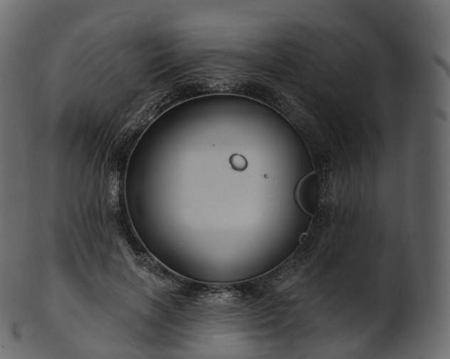 X0000101120646200807031804