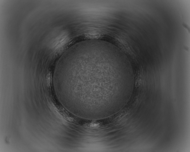 X0000101120647200807031804