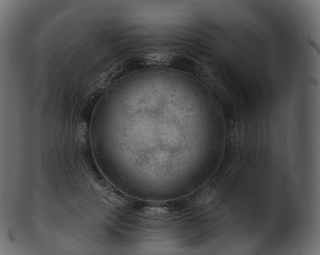 X0000101120649200807031804