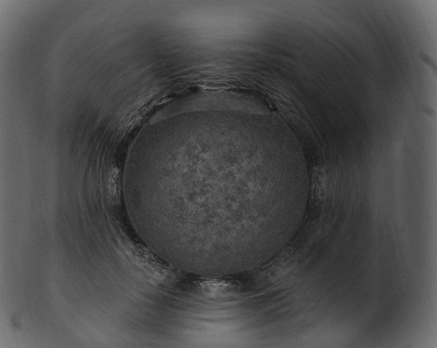 X0000101120650200807031805