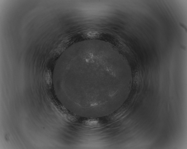 X0000101120651200807031805
