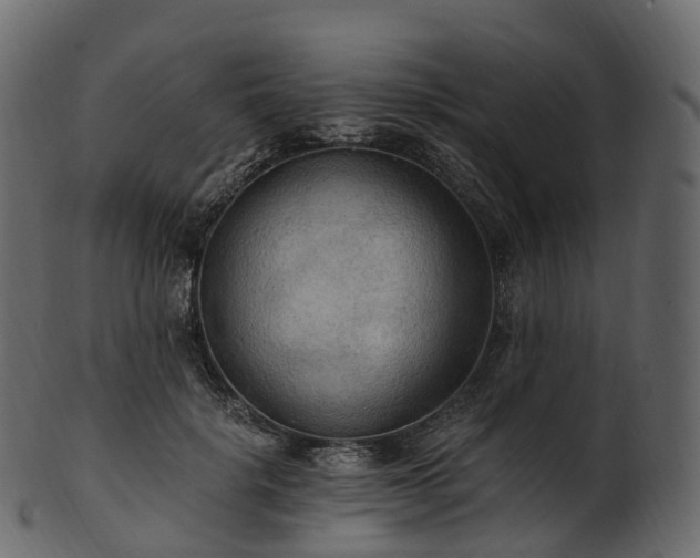 X0000101120652200807031805