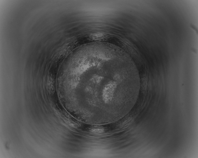 X0000101120653200807031805