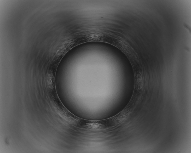 X0000101120654200807031805