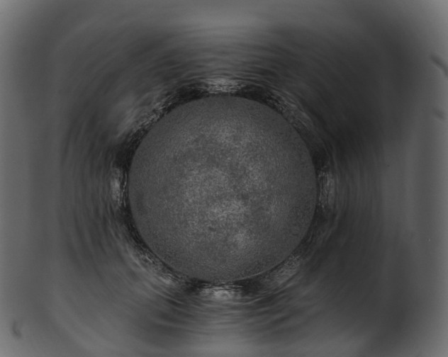 X0000101120655200807031805
