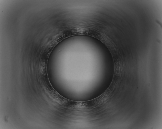 X0000101120656200807031805