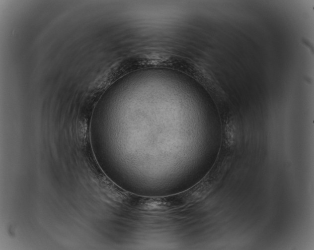 X0000101120657200807031805