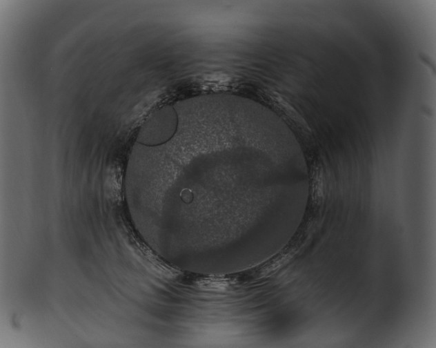 X0000101120661200807031805
