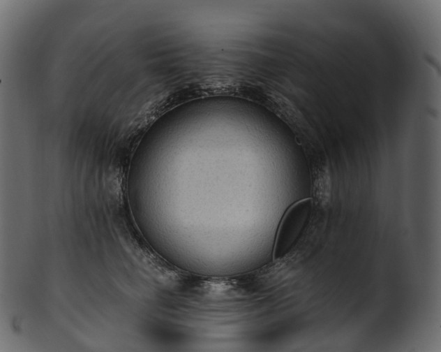 X0000101120662200807031805