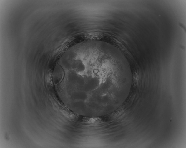 X0000101120663200807031805