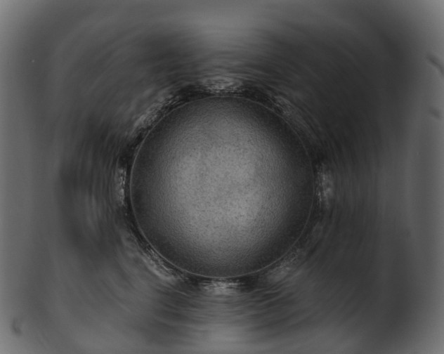 X0000101120664200807031805