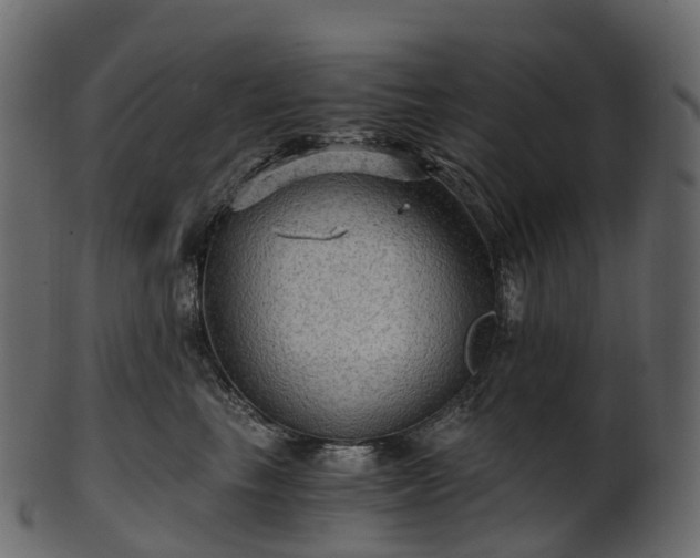 X0000101120665200807031805