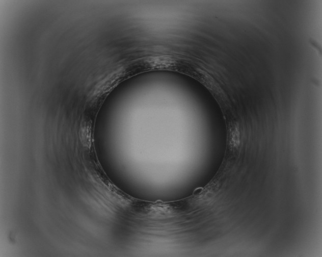 X0000101120666200807031805
