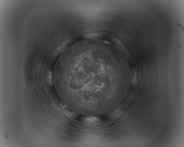X0000101120669200807031805