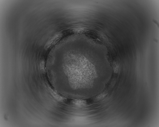 X0000101120670200807031805