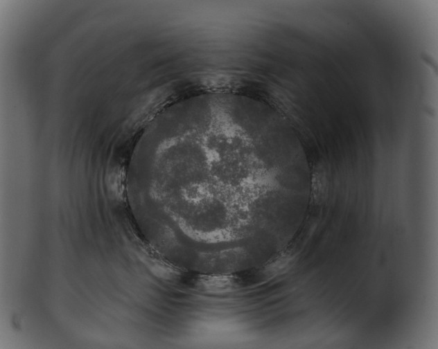 X0000101120671200807031805