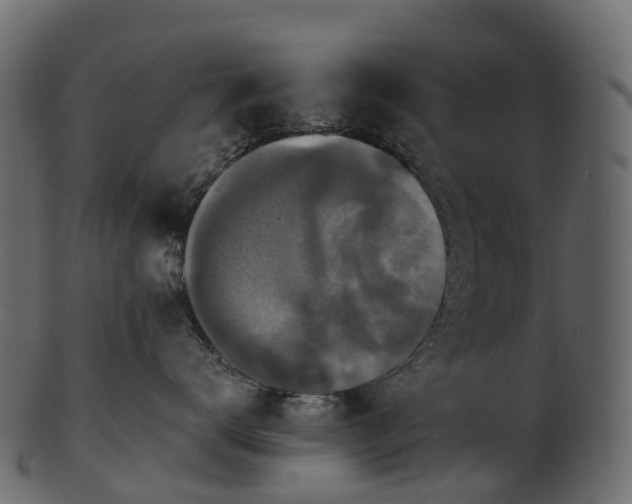 X0000101120672200807031805